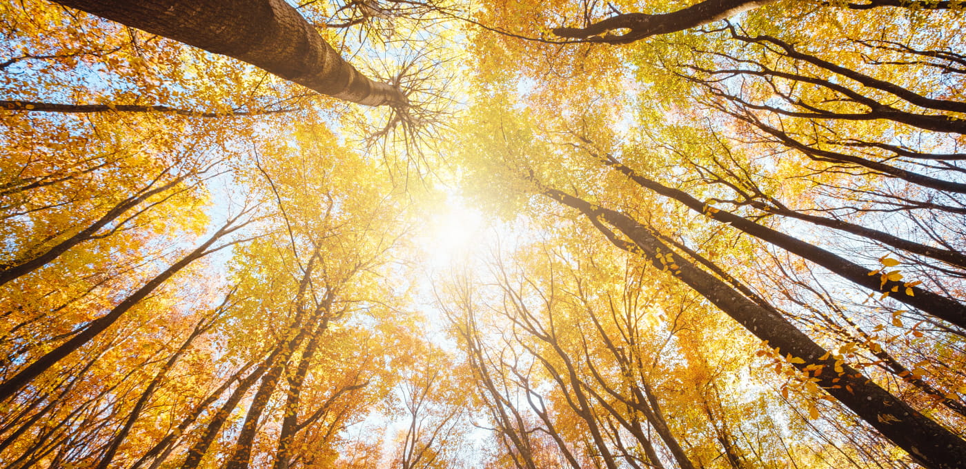 成功事例を“自分ごと化”する方法｜起業アイデアをMVPで試す実践ガイド