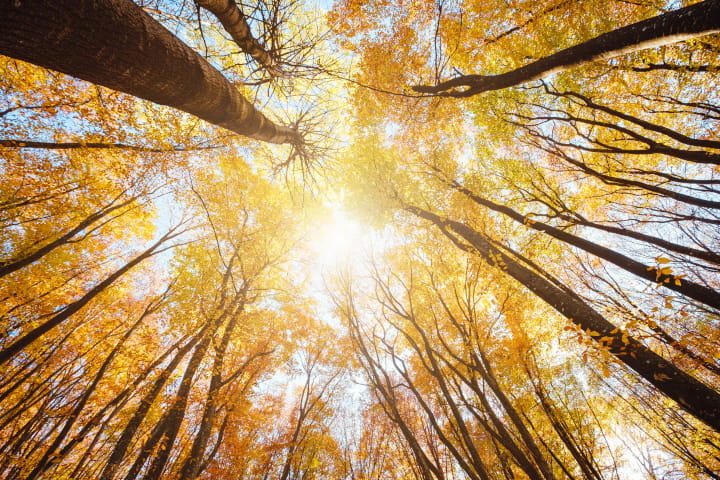 成功事例を“自分ごと化”する方法｜起業アイデアをMVPで試す実践ガイド