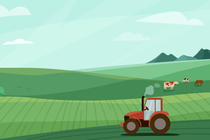 ビジネスモデル事例の正しい使い方｜FBNを例に学ぶ起業アイデア検証の5ステップ